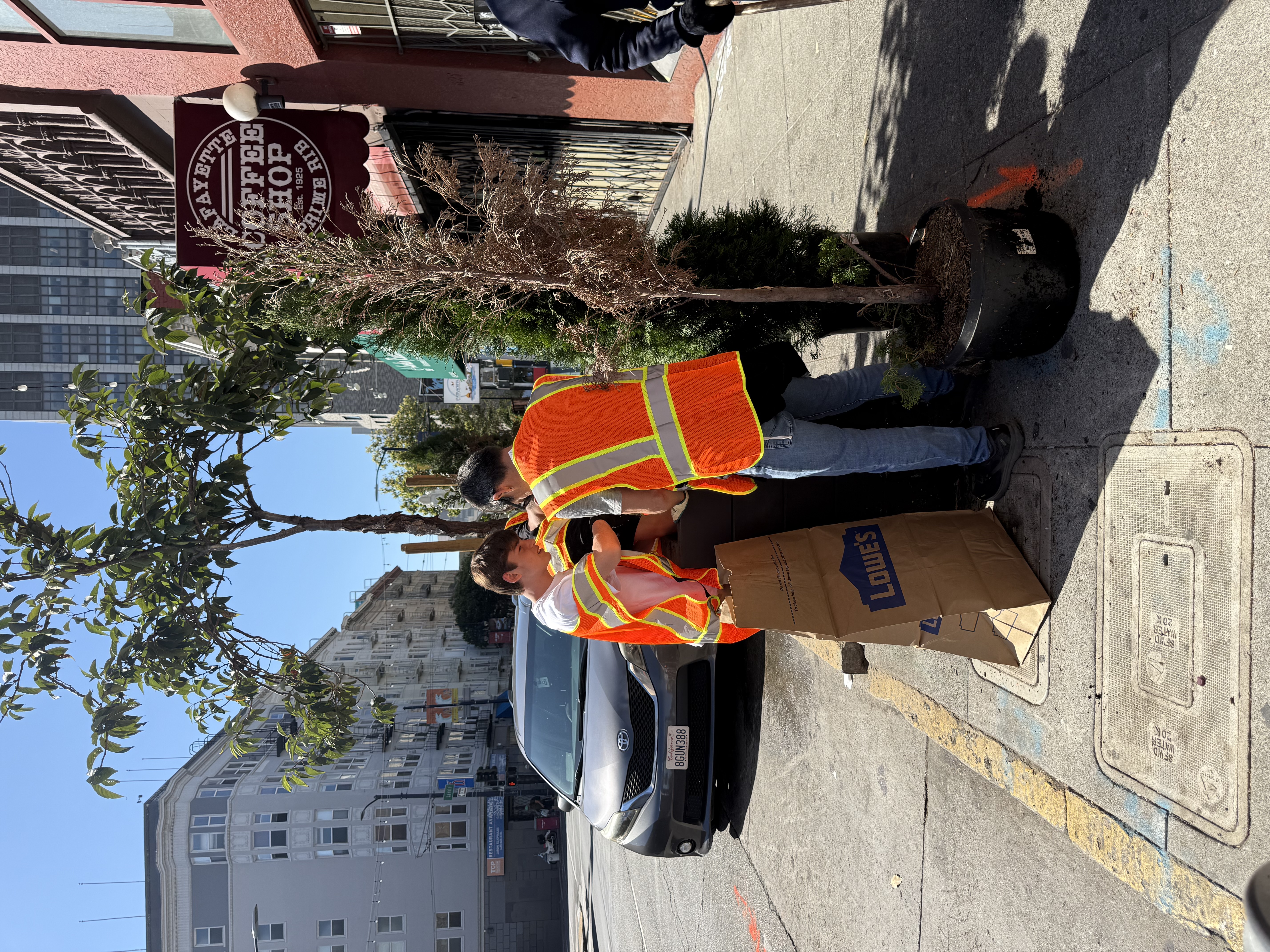 Photo 8 from Larkin St. Tree Restoration & SFOrganica Onboarding