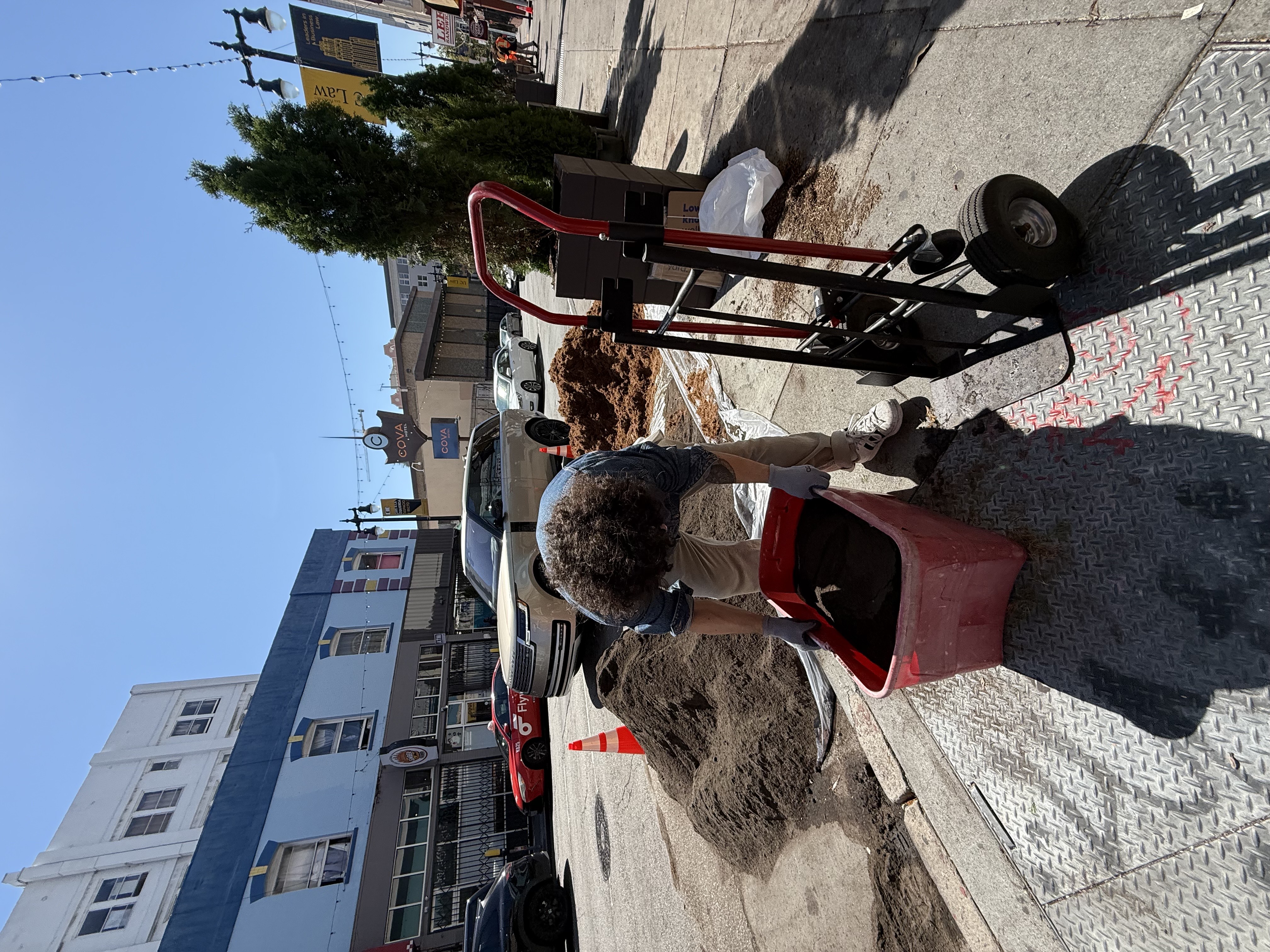 Photo 5 from Larkin St. Tree Restoration & SFOrganica Onboarding